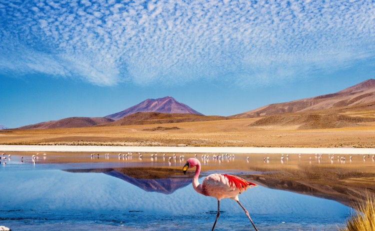 Atacama 1