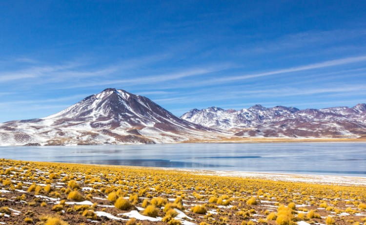 Laguna Miscanti Atacama shutterstock 563694502