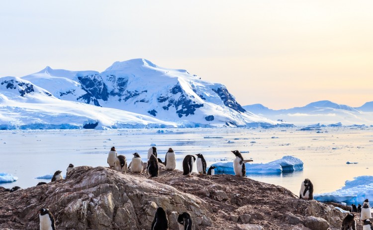 Antarctica Peninsula 1