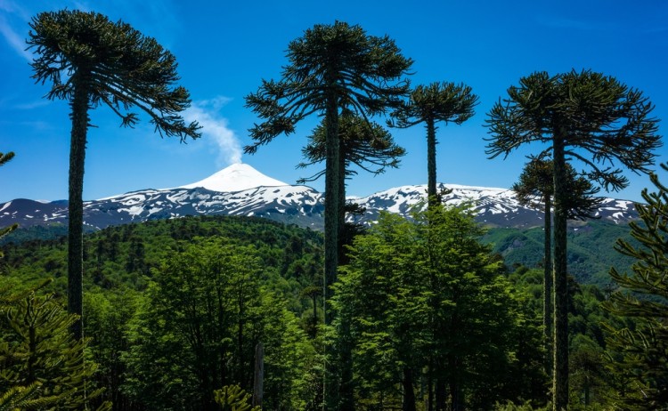 Pucon shutterstock 2055936389