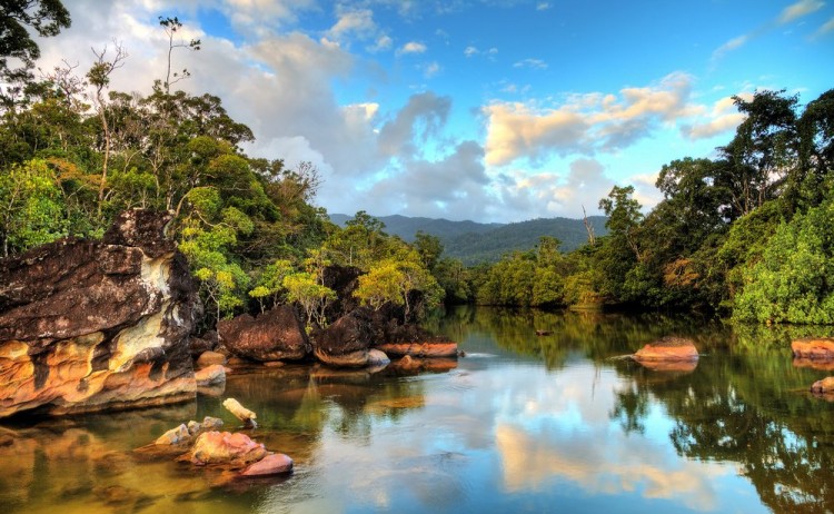 Beautiful view of the tropical jungle river at the beach of Masoala National Park in Madagascar