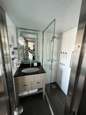 L'Austral bathroom
