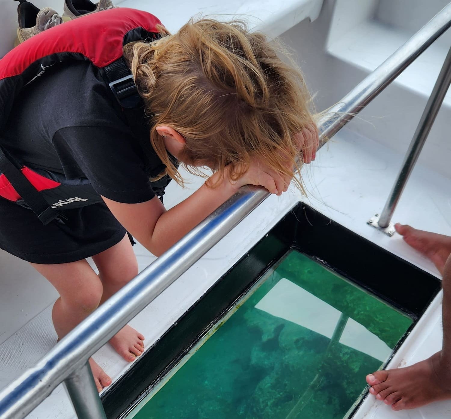 A child observing marine wildlife through a glass-bottom boat in the Galapagos