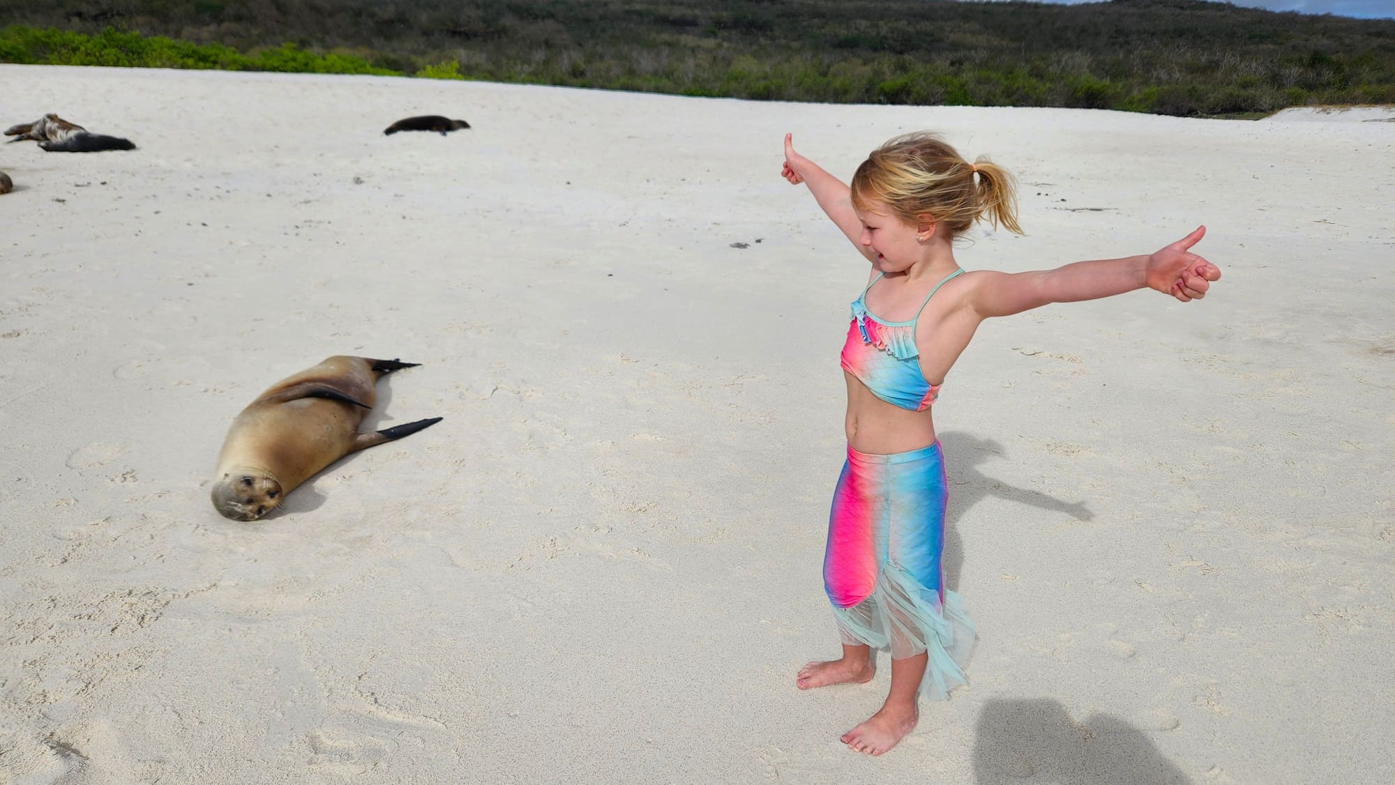 A young girl enjoying an encounter with a seal in the Galapagos.