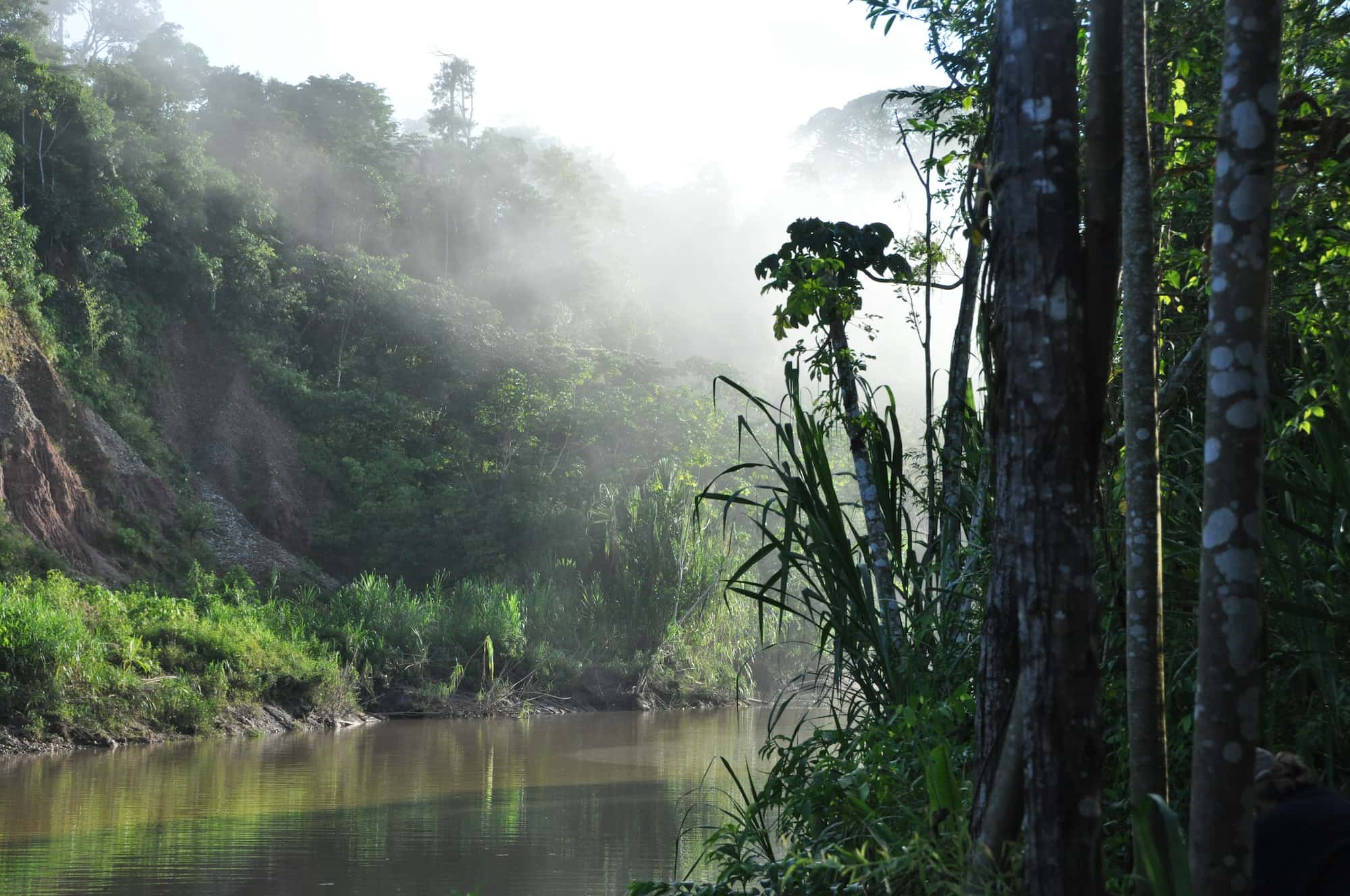 Mist rising from a river in the Amazon at sunrise
