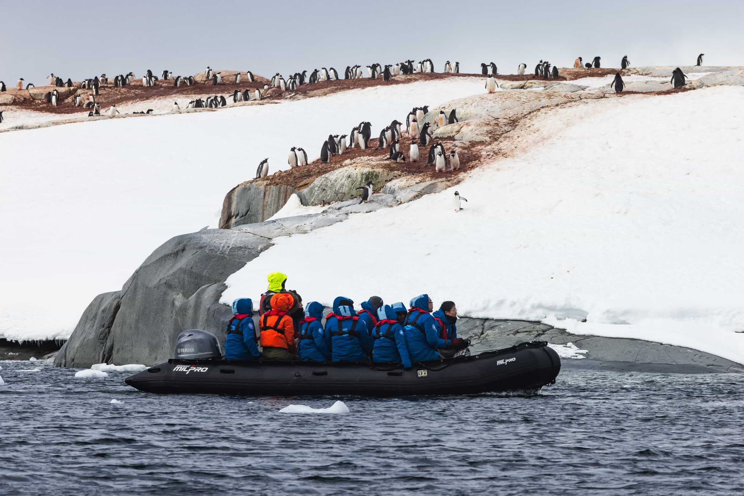 Zodiac excursion in Antarctica.