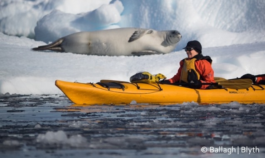 Kayaking in Antarctica