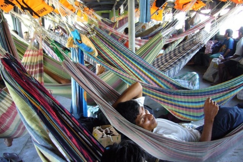 Sea of hammocks