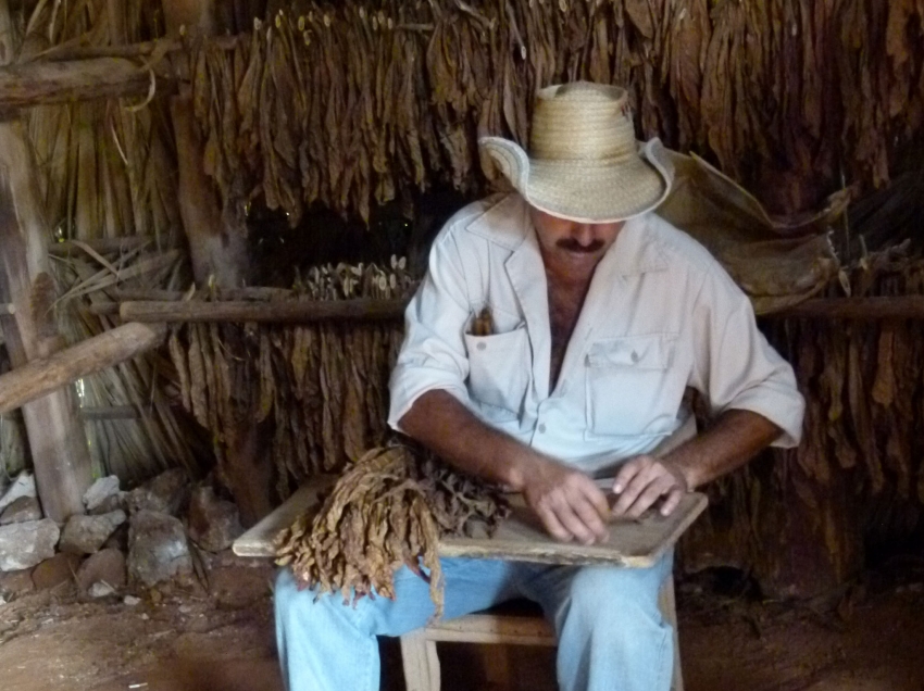 Cigar making in Cuba