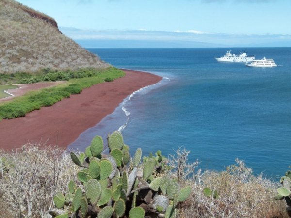 Going on a cruise in the Galapagos is an unforgettable trip