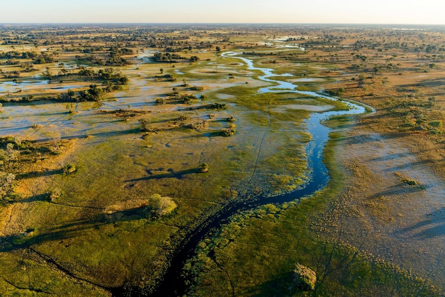 Aerial of Okavango Delta