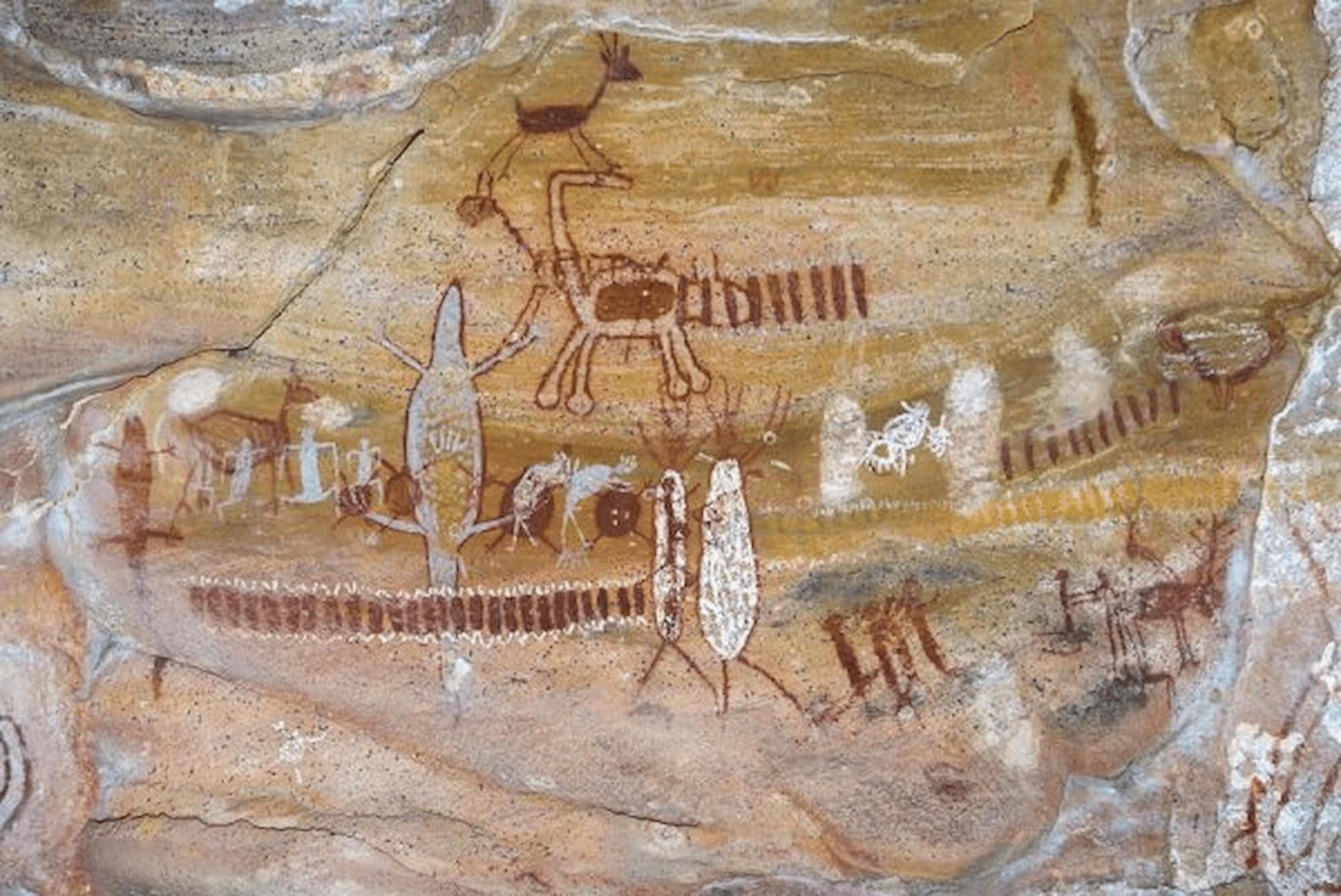 Cave paintings at a UNESCO world heritage site, Brazil
