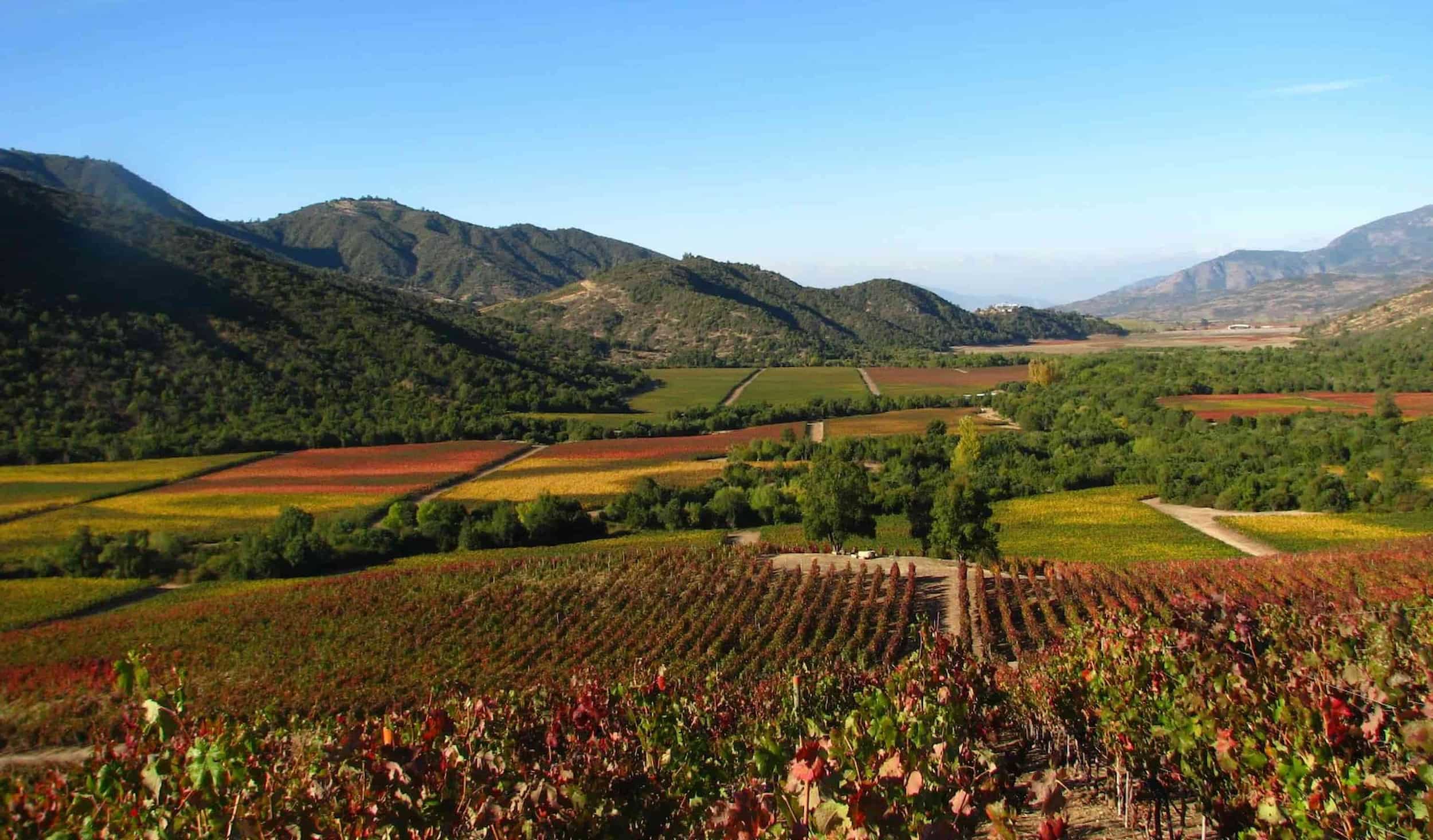 View of Vik Winery Retreat in Chile. View of Vik Winery Retreat in Chile.