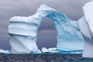 Cruise to Antarctica
