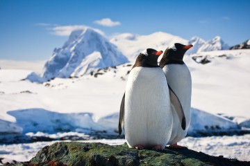 Travellers Guide ANTARCTICA