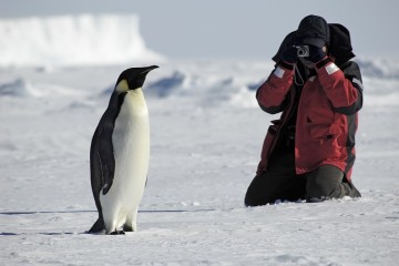 Become An Antarctic Ambassador