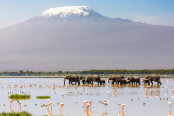 Beyond The Brochure Booking Incentive 