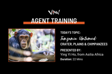 Tanzania Untamed: Crater, Plains & Chimpanzee.