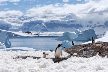 All Antarctic Cruise Deals