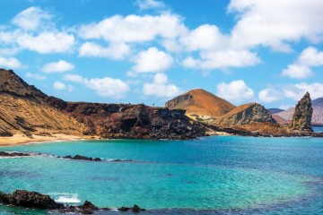 Galapagos: Grand Majestic | 5 Days