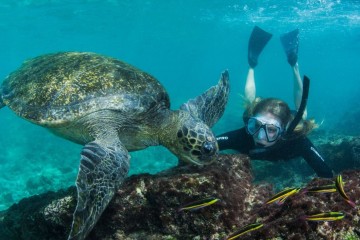 Galapagos Islands