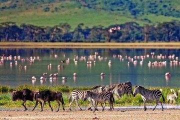 Kenya & Tanzania