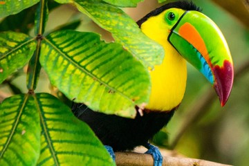 Magic of Colombia | 8 Days