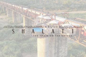Kruger Shalati - Train on a Bridge