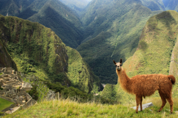 Selling South America