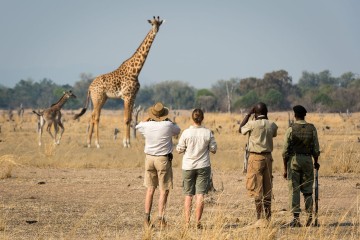 Zambia