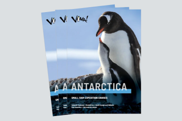  Antarctica Small Ship Expedition Cruises