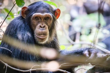 Tanzania Untamed: Small Group Tour