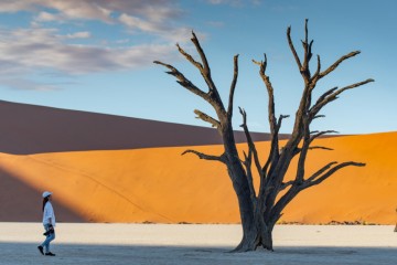 Namibian Muse: Women-Only Small Group Tour
