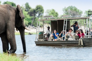 Africa Safaris & Tours