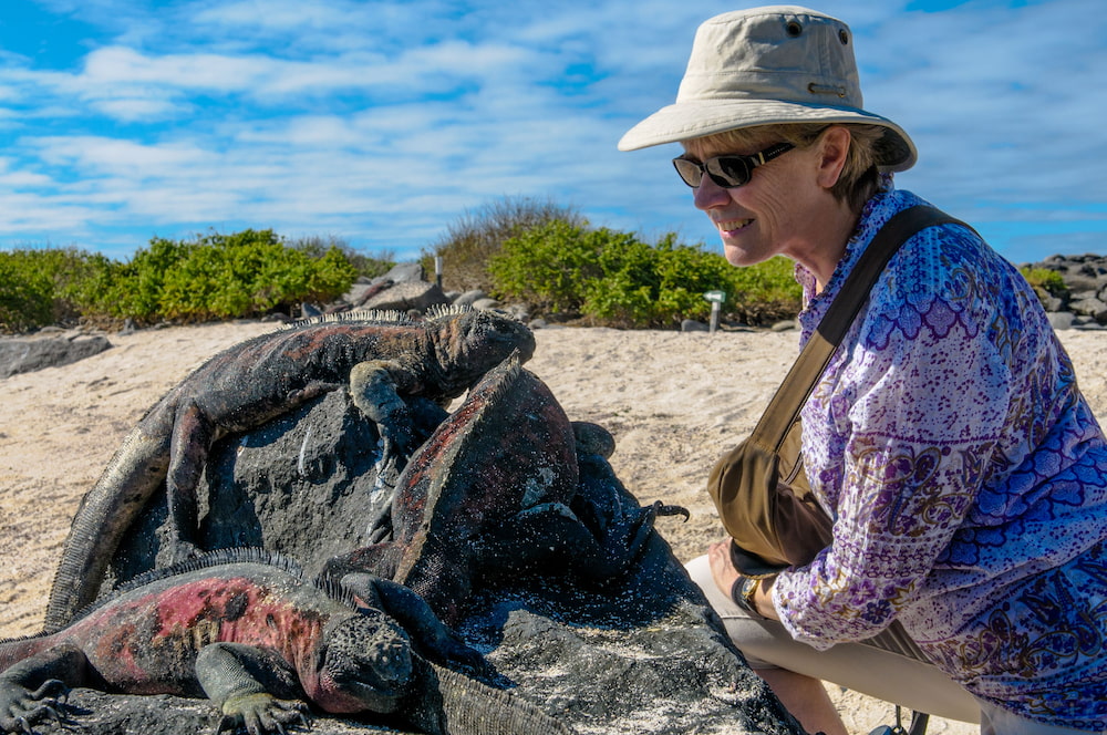 Guest experience close encounters with marine iguanas on the shore.