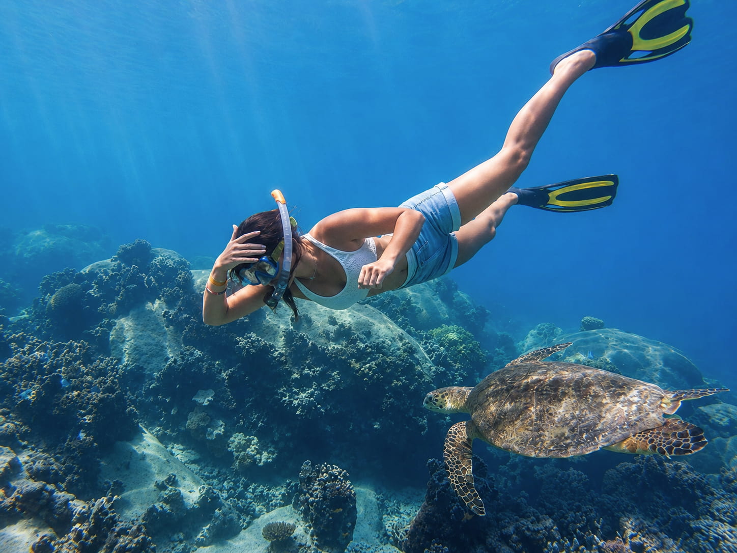 Snorkelling with sea turtle