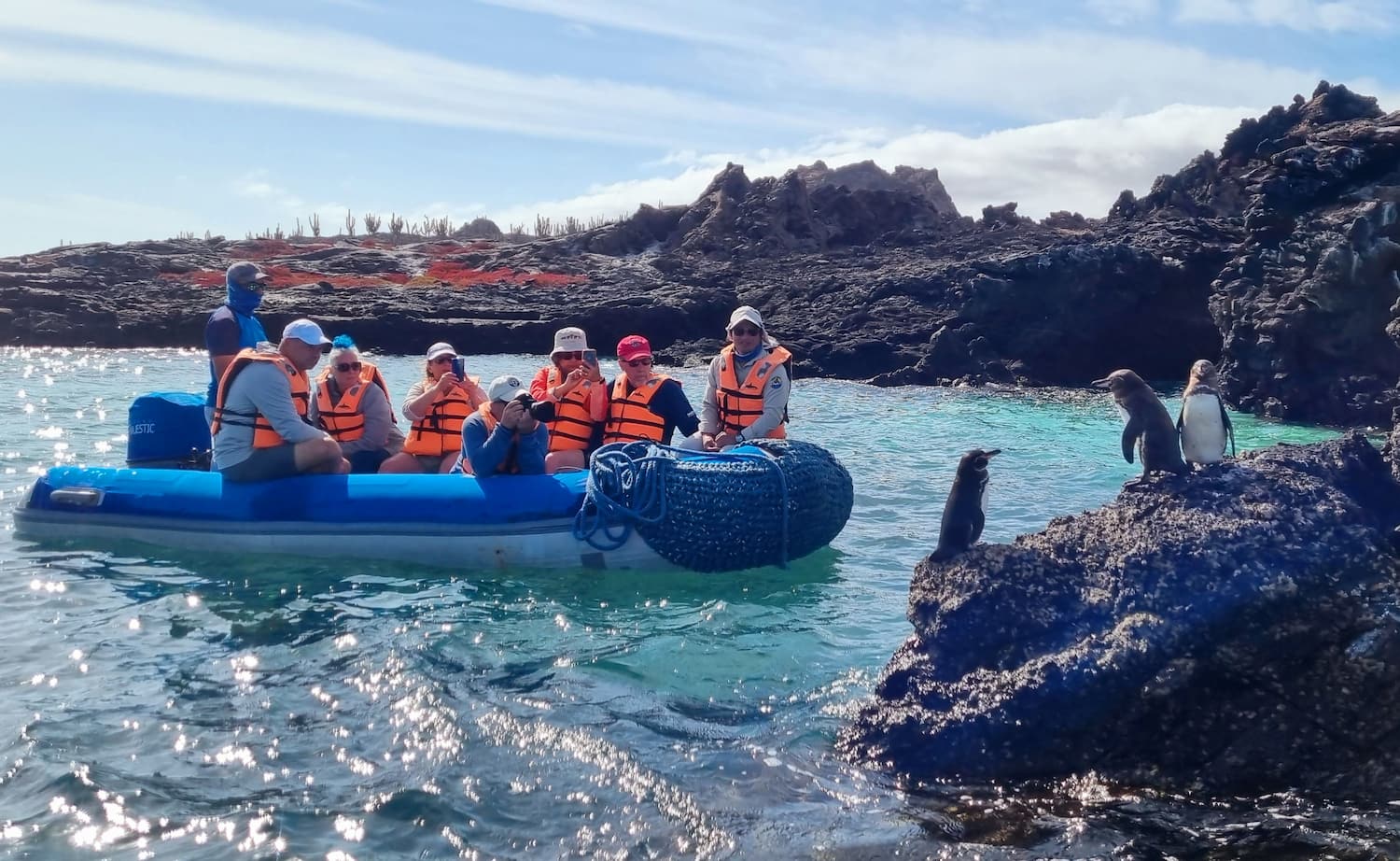 Guests on zodiac spotted penguins in Galapagos.