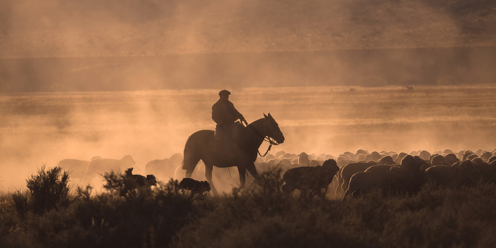 Horseback riding gauchos.