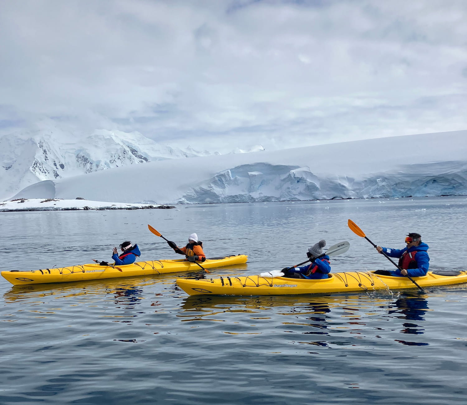 Kayaking, Ocean Albatros