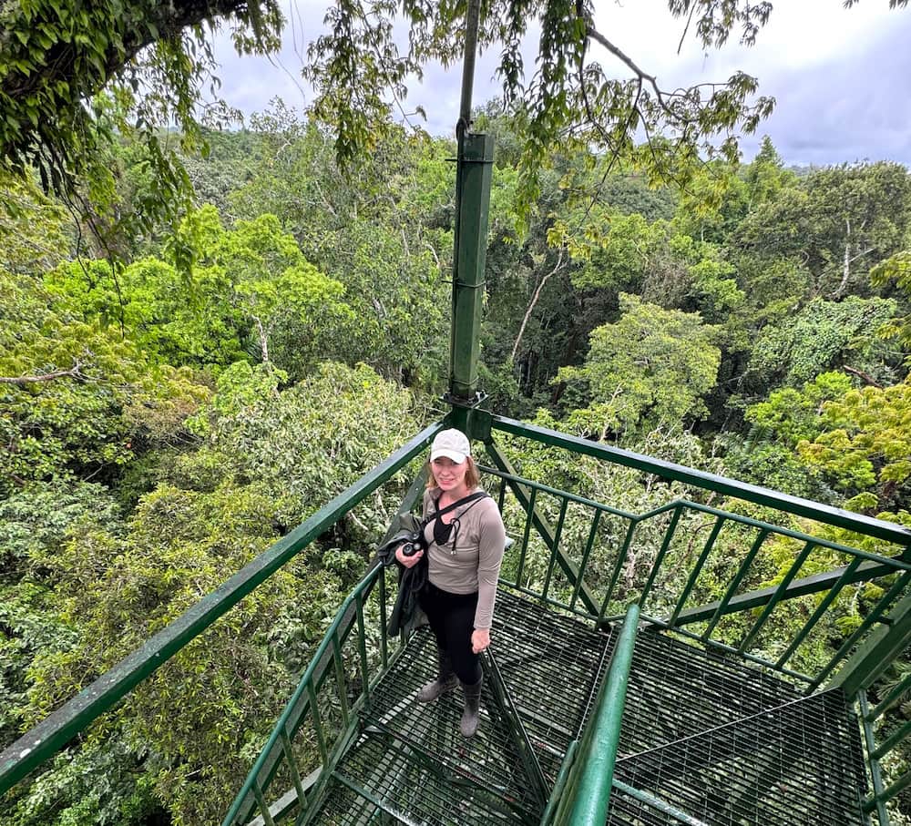 Primary rainforest canopy in the Ecuadorian Amazon, Napo River basin