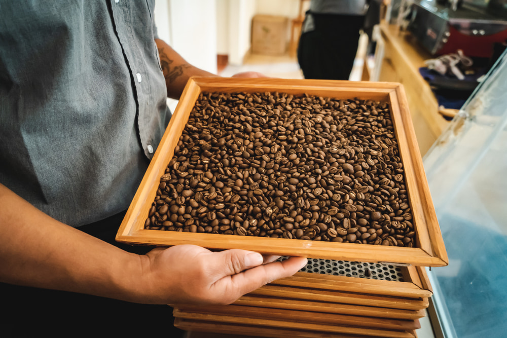 Coffee in San Cristobal de las Casas.