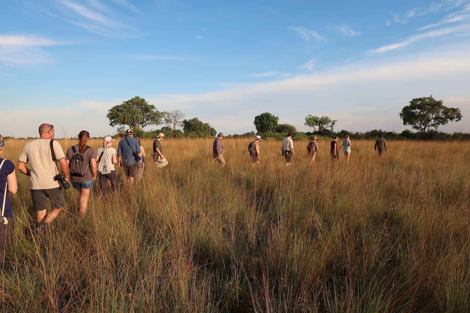 A guided walking safari