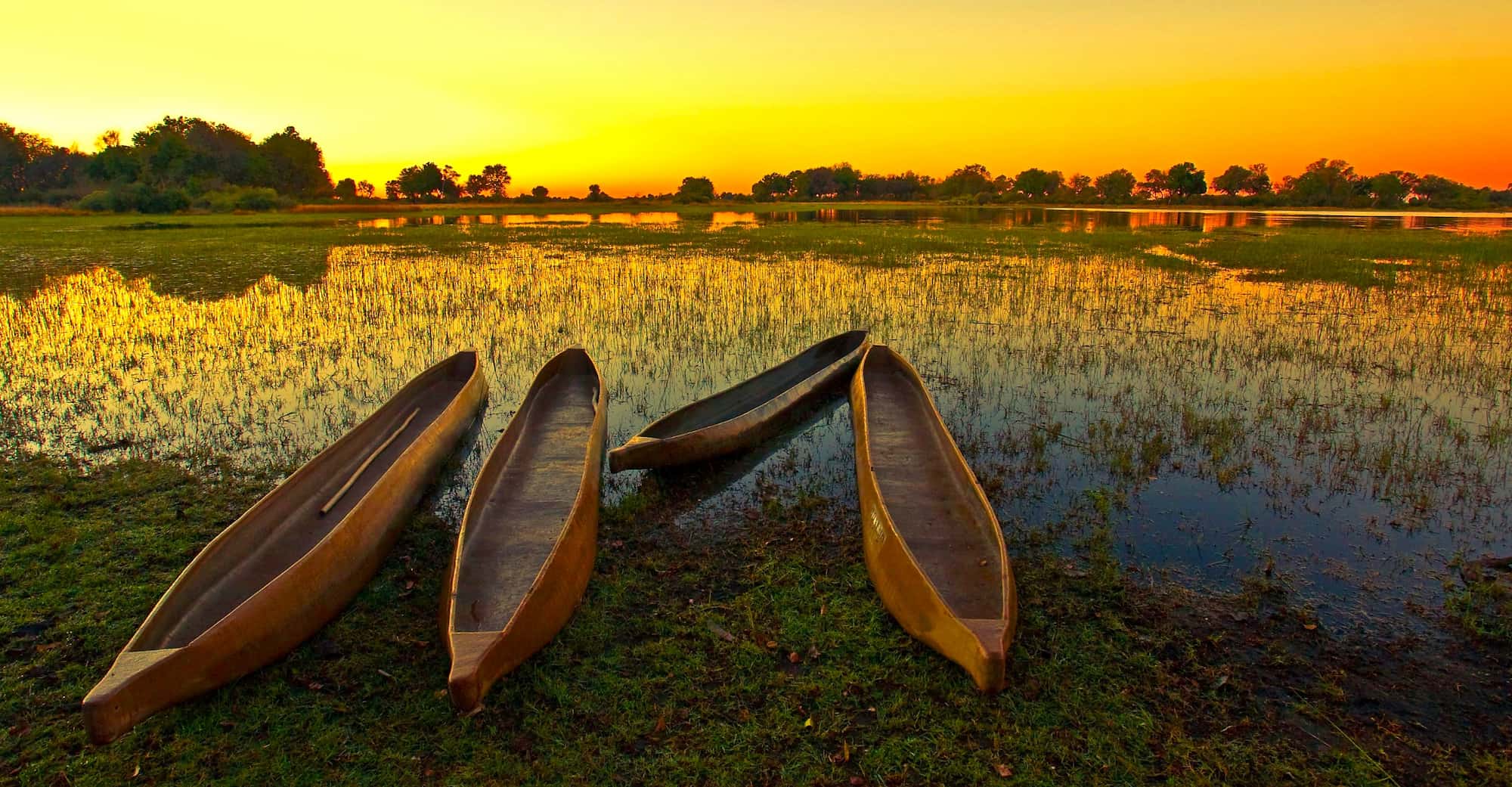 Botswana's traditional dugout canoes