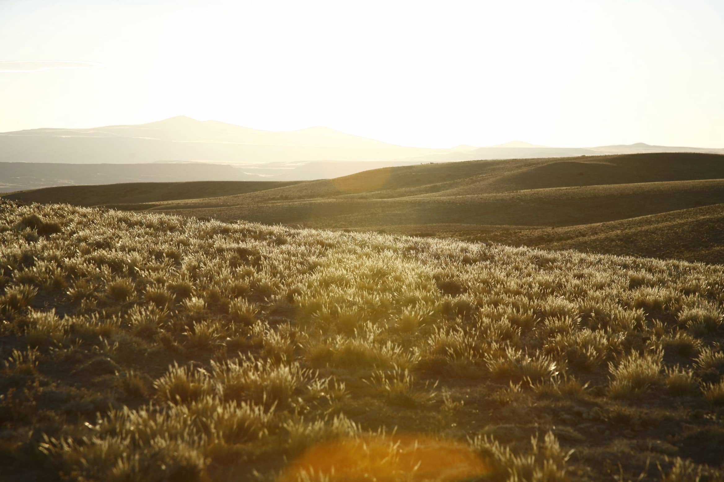 The softer side of Patagonia trails