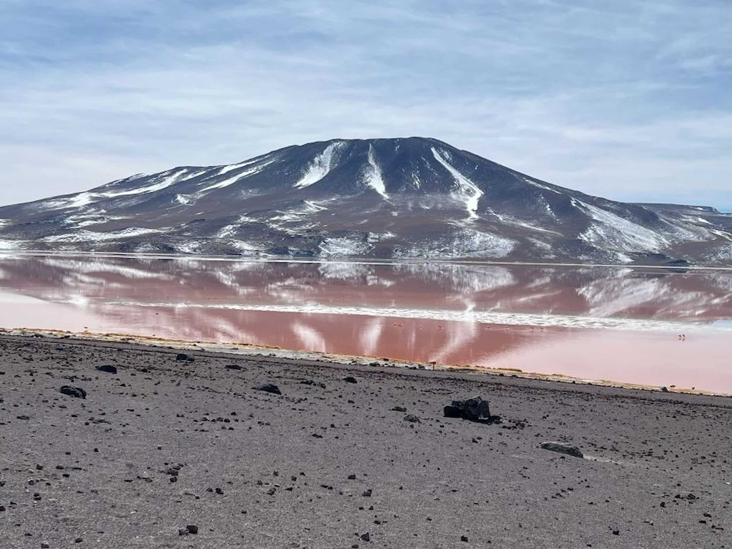Laguna Colorada in all its glory. Laguna Colorada in all its glory.