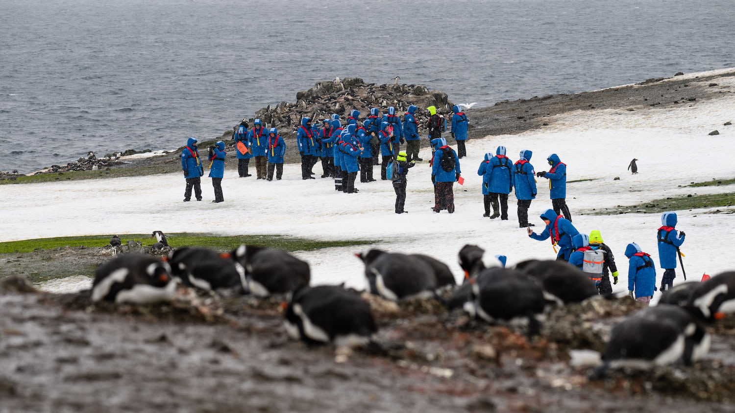 Early season in Antarctica