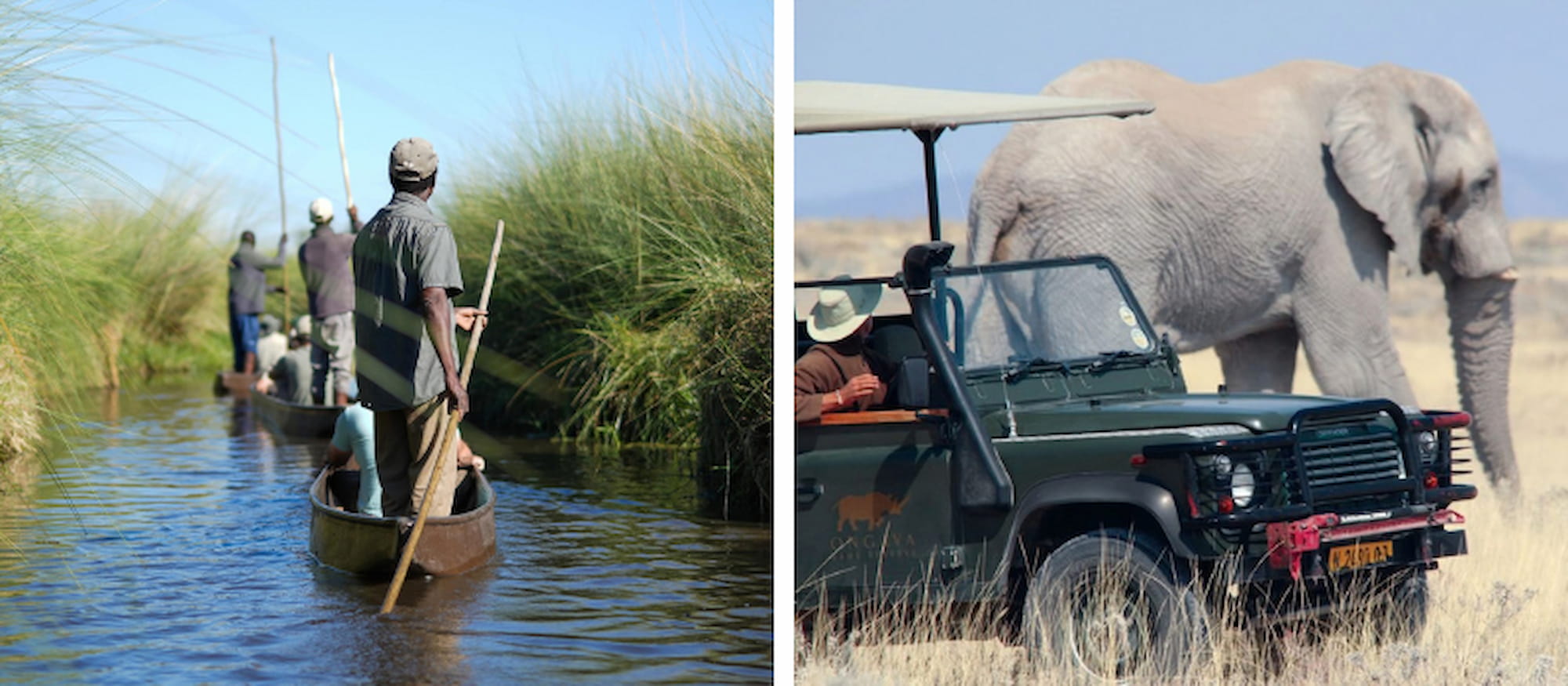 Elephant herd drinking at the Chobe River, Chobe National Park, Botswana.