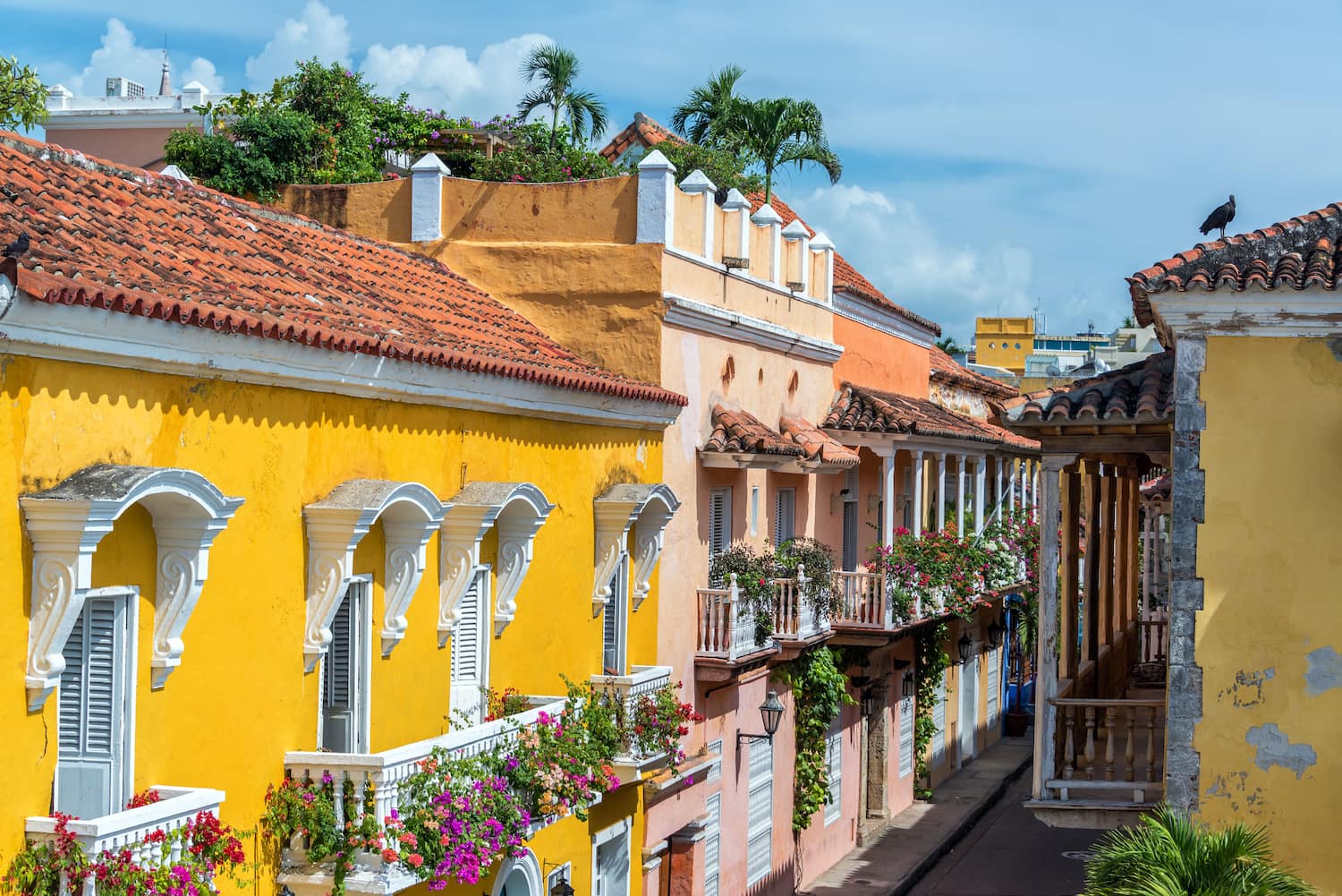 Bright colonial houses with bougainvillea-covered balconies in Cartagena, Colombia.