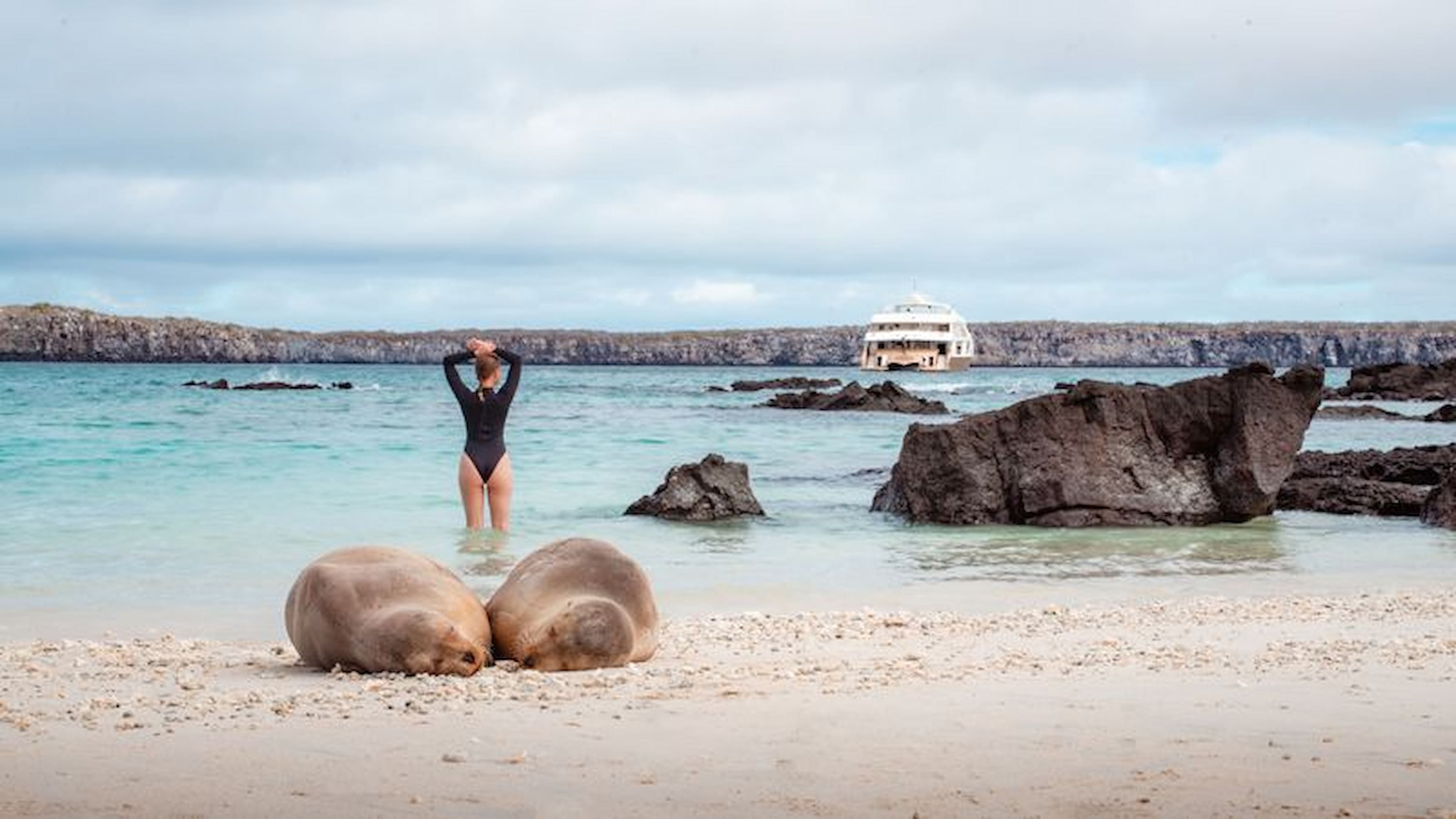 Sea lions resting on a sandy Galápagos beach with a traveller standing in the shallow water and a small expedition ship anchored in the background.