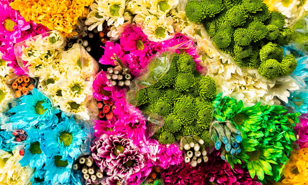Flower display in Medellín, Colombia.